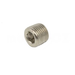 Screw 1/8 NPT