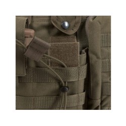 Tasmanian Tiger BEL SET, coyote