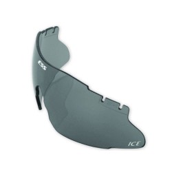 Tactical Goggles ESS ICE-2LS