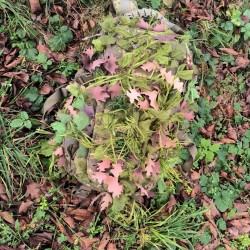 Anareus SilkLeaf maskovací listy -  Velké balení (308 ks)