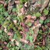 Anareus SilkLeaf maskovací listy -  Velké balení (308 ks)