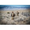 MBDU Shirt® - NyCo Ripstop - Flecktarn