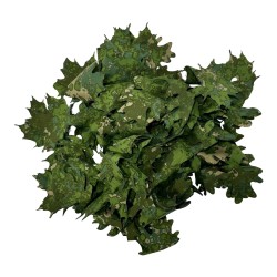 KMCS Tie Leafs - Green