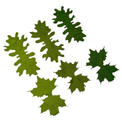 KMCS Tie Leafs - AGM