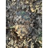 KMCS Pack Cover with 3D Leaves (XL)