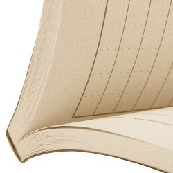 RITE Waterproof FIELD FLEX Notebook (117 x 184 mm) – Tan | ANAREUS