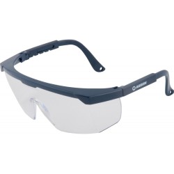 ARDON Safety Glasses V20 (Clear Lenses) | ANAREUS