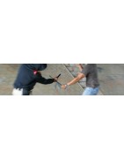 Batons